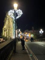 Tree of light switch on 2024